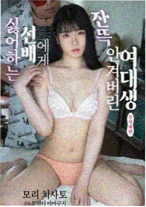 南方来信 剧集海报